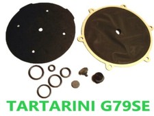 TARTARINI G79SE Reducer Repair