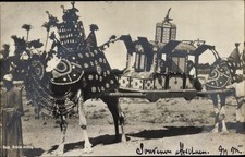 Ak Ägypten, Kamel mit