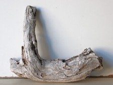 Treibholz Schwemmholz