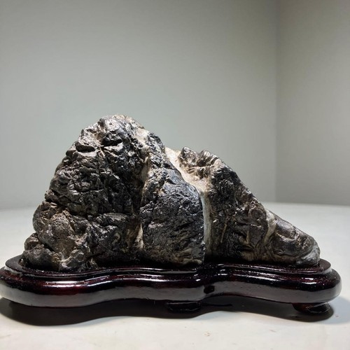 Suiseki bonsai stein - bonsai,