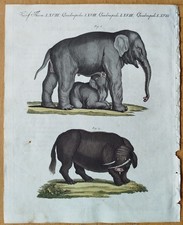 Elefant Sukotyro - Bertuch