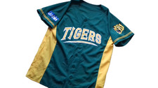 HANSHIN TIGERS