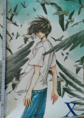 Anime manga poster clamp - anime/manga,