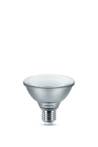 Philips master ledspot - master,