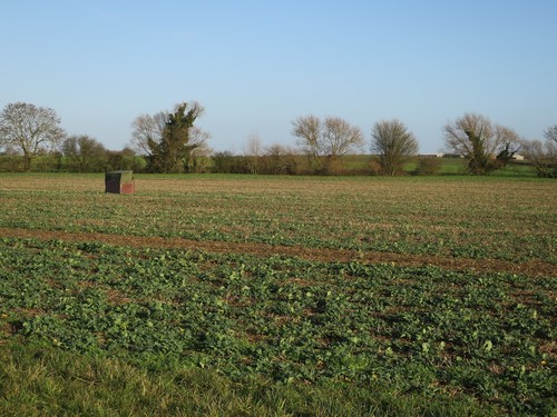 Foto 12x8 feld der - 12x8,