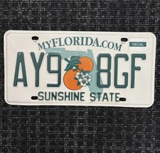 Original US Auto Kennzeichen