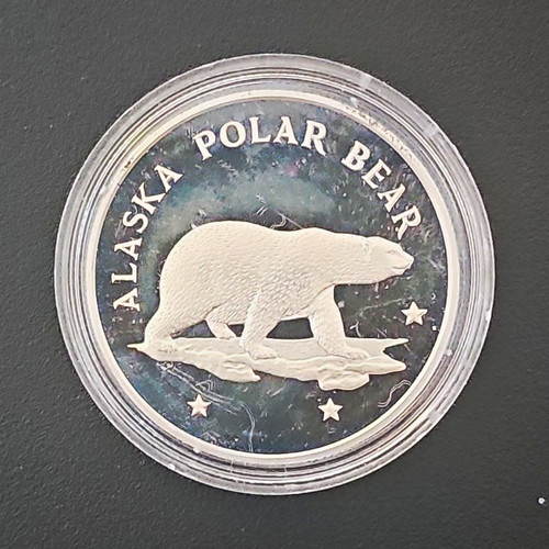 Alaska polar bear - alaska, eisbär