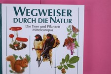 160803 WEGWEISER DURCH DIE