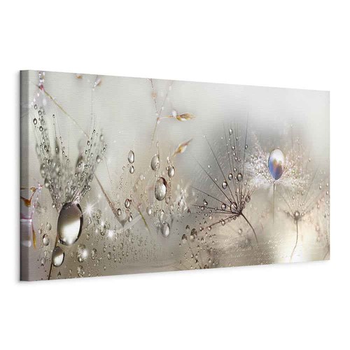 Pusteblume vlies leinwandbild - pusteblume,
