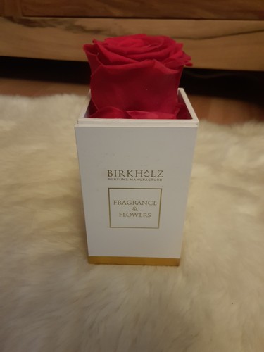 Birkholz fragrance flowers - birkholz,
