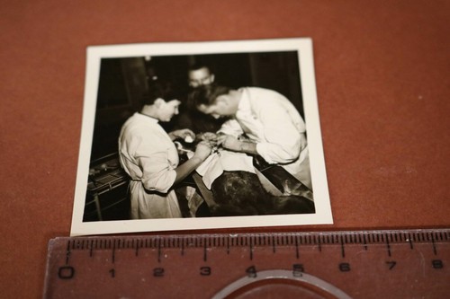 Tolles altes foto tierarzt - tolles,