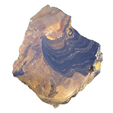 0,73Kg Stromatolith Rohstein