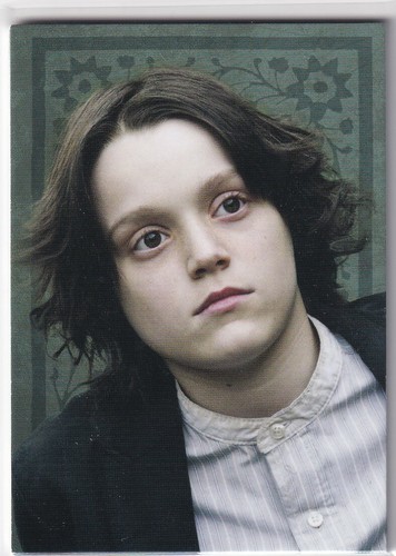 Panini harry potter evolution - panini,