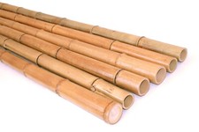 Moso Bambusrohr gelbbraun 150cm Durch. 7 bis 8cm, unbehandelt im Ofen getrocknet