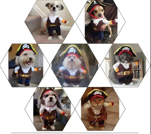 Hundekostüm pirat fasching - hundekostüm,