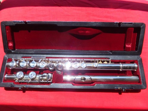 Altus 1407 vollsilber - 1407, e