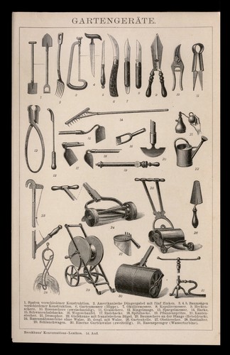 Original holzschnitt 1896 - holzschnitt,
