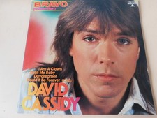 David Cassidy - Best of - LP