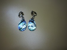 Abalone paua perlmutt - abalone-,