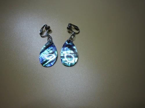 Abalone paua perlmutt - paua,