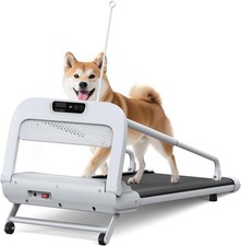 Dog Treadmill for Small Medium
