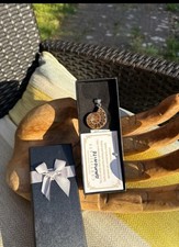 Ammonit Fossil Heilung Erdung