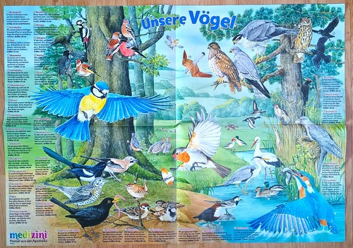 Wissens poster unsere - wissens-poster,