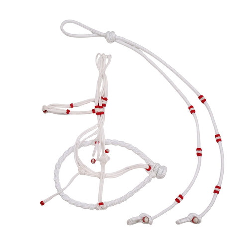 Charros white halter - halter, horse