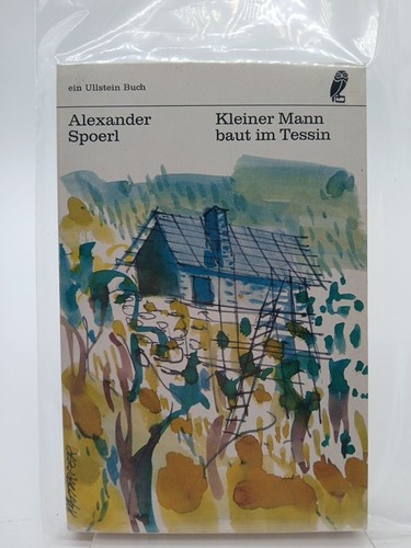Kleiner mann baut tessin - mann, im