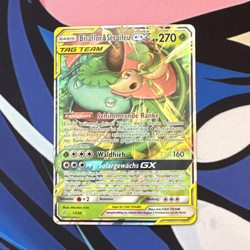 Pokémon bisaflor serpifeu - &,