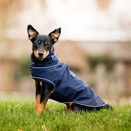 Horseware signature dog - signature,