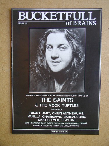 Bucketfull brains 32 - brains, #32