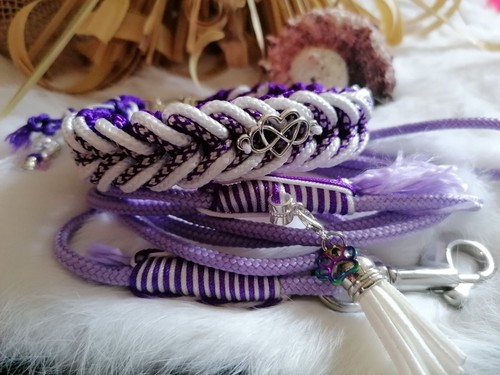 Hunde halsband leinen - hunde,