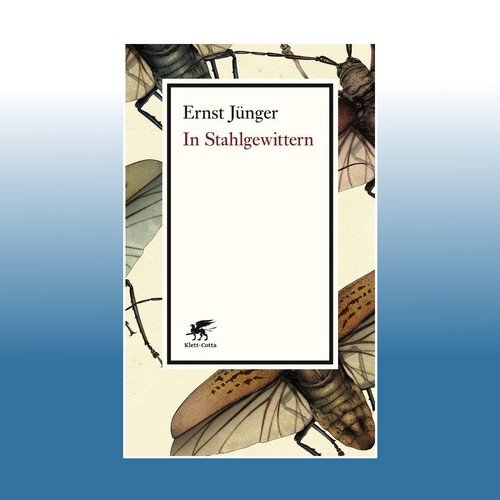 Stahlgewittern ernst - in,
