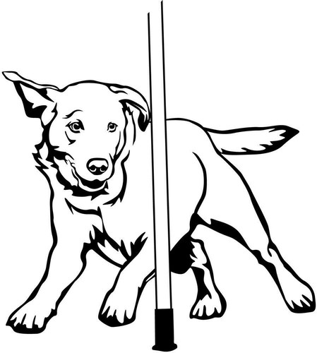 Labrador aufkleber - aufkleber,