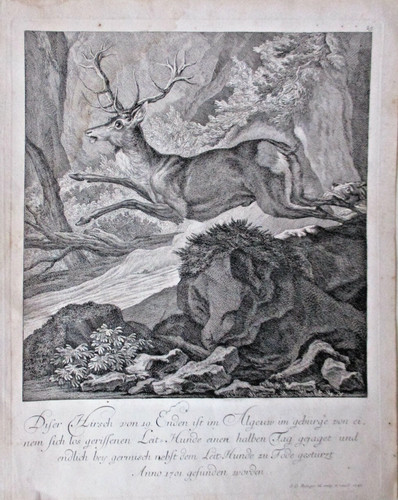 Kupferstich hirschjagd - kupferstich,,