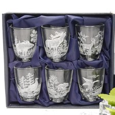 6 teiliges Schnaps Gläser Set