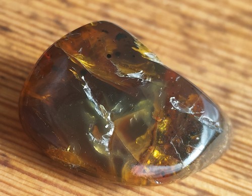 Sumatra blauer bernstein - blauer,