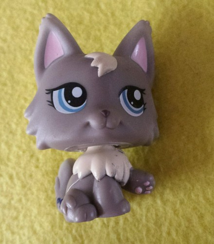 Littlest pet shop - pet, grauer