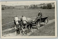 13297871 - 8968 Durach Ochsengespann Ort handschriftlich