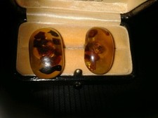 Bernstein - Ohrclips 