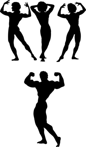 Bodybuilding bodybuilder - bodybuilding,