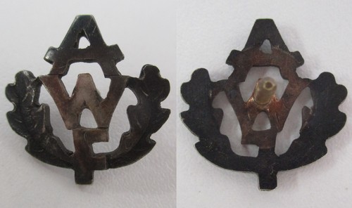 Silbernes abzeichen awf - silbernes,