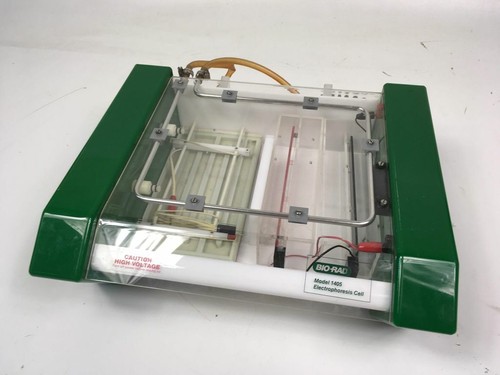 Bio rad modell - bio-rad,