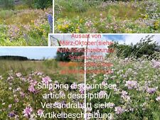 Bunte Kronwicke, Securigera/Coronilla varia, Crownvetch, 450 seeds, samen