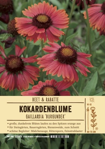 Gaillardia aristata arizona - gaillardia, "arizona