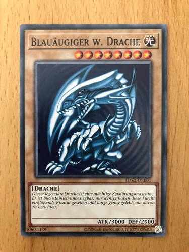 Common blauäugiger - common,