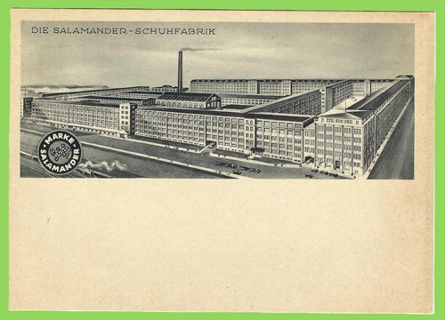 Kornwestheim salamander - ak,