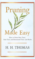 Pruning Made Easy-How to Prune