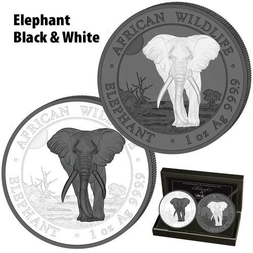 Silbermünzen elefant black - black, &